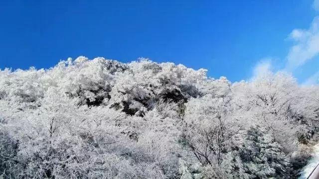 史上最贱小游戏之足球