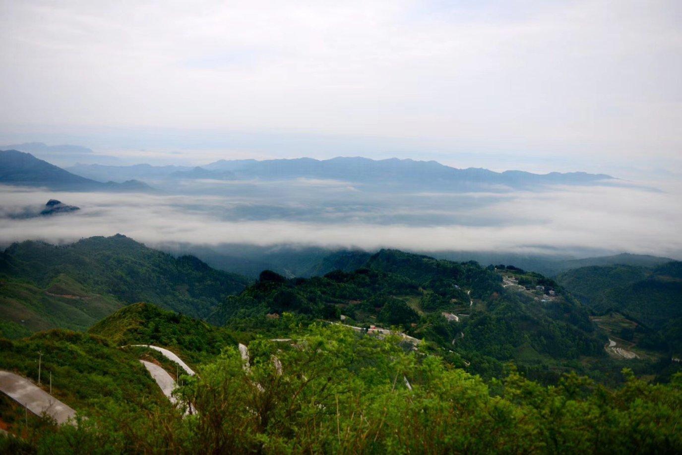 精灵的冒险之旅