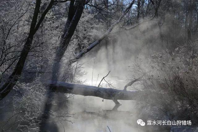 趣味高尔夫球无敌版