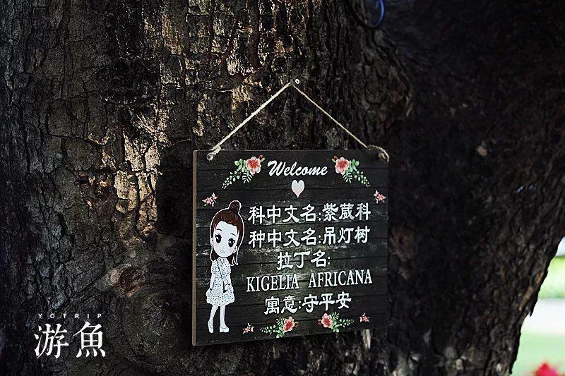 脱逃者