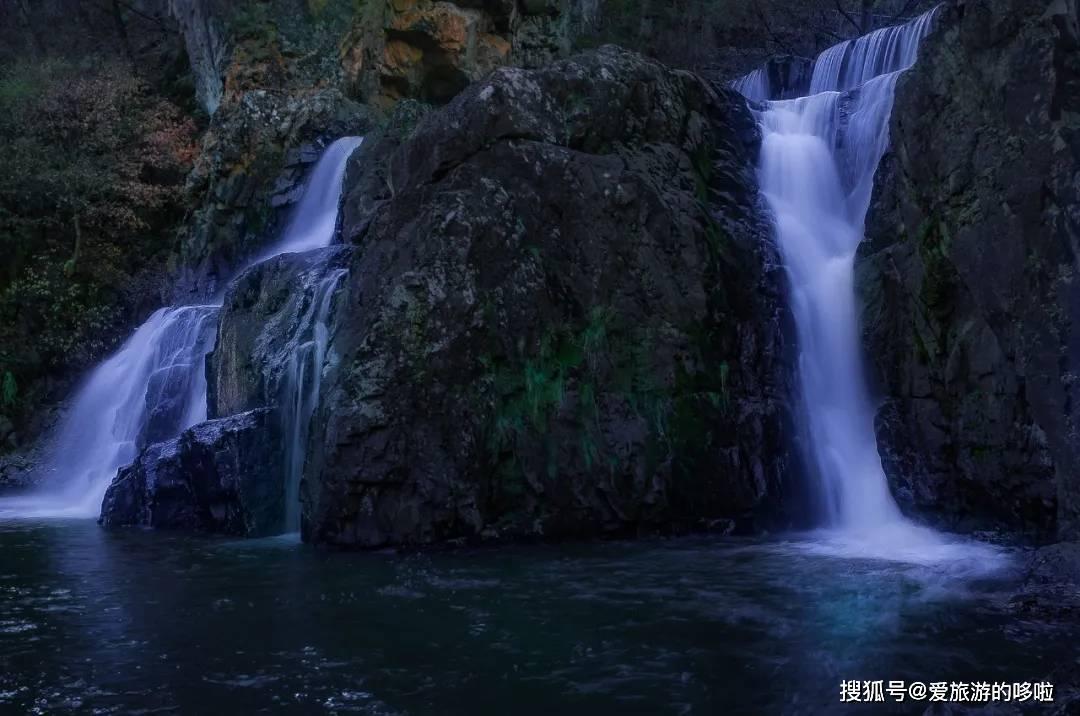 见习小魔女勇闯猪窝岛
