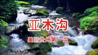 FIFA足球世界