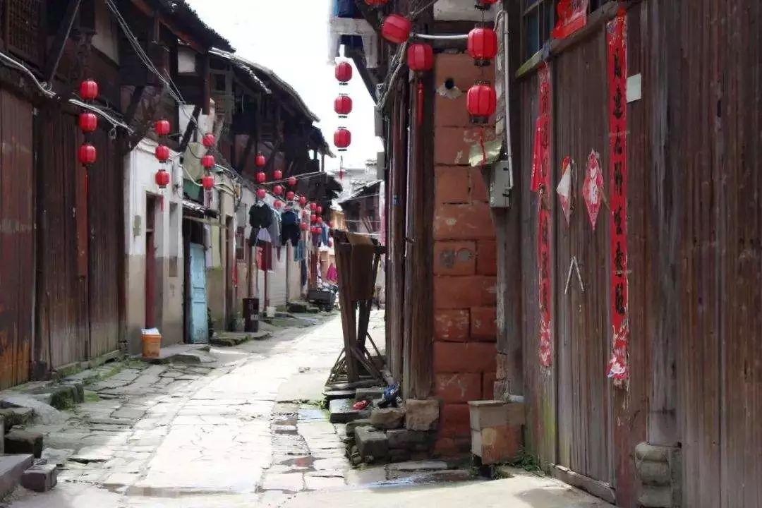 僵尸躲避战